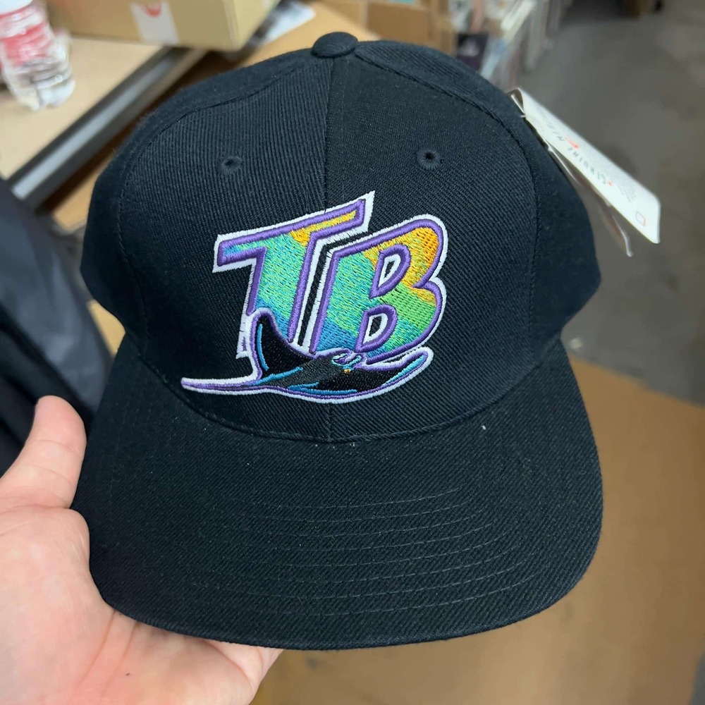 Vintage Tampa Ray Devil Rays MLB Wool Blockhead American Needle Hat Snapback Cap